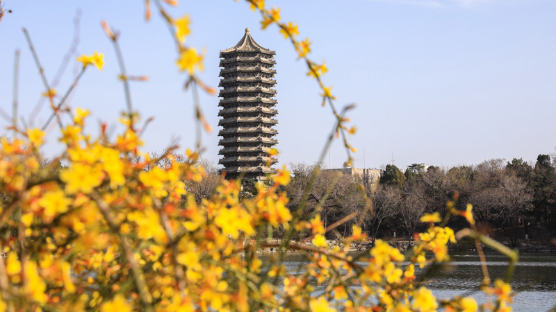 北京大学校园风采